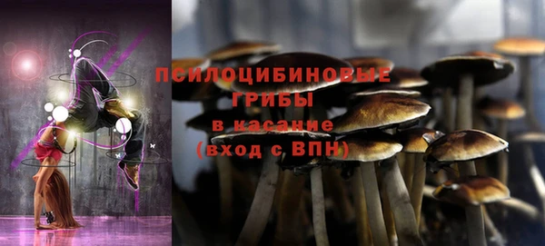 не бодяженный Вяземский
