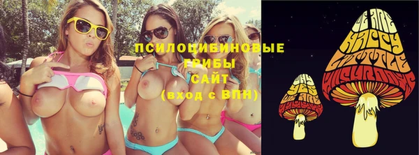 не бодяженный Вяземский
