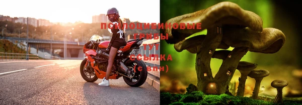 не бодяженный Вяземский